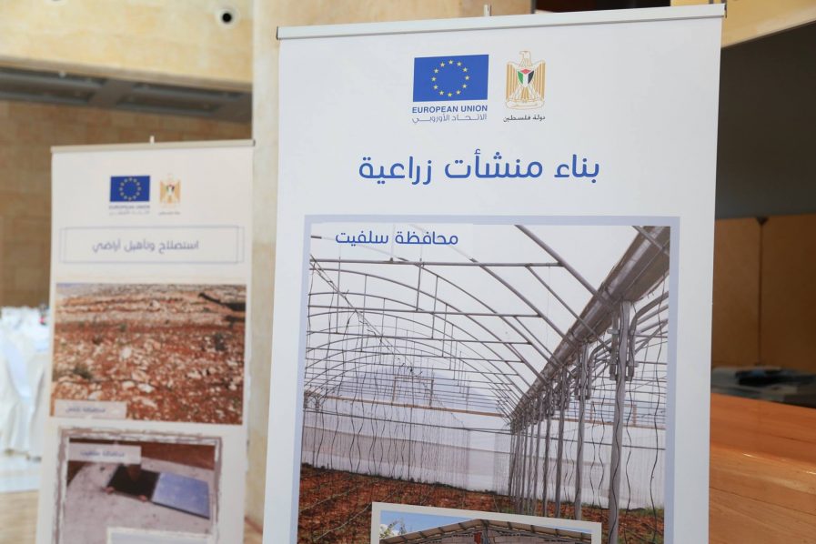 EU launches agricultural programmes in Palestine - EU Neighbours
