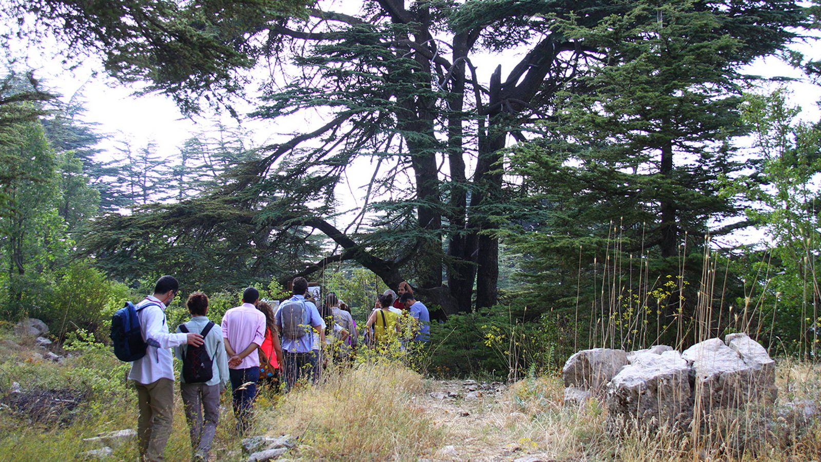 © كرلوس بونافح -  انتفع مشروع درب الجبل اللبناني جزئيًّا بتمويل ودعم من قبل الاتحاد الأوروبي