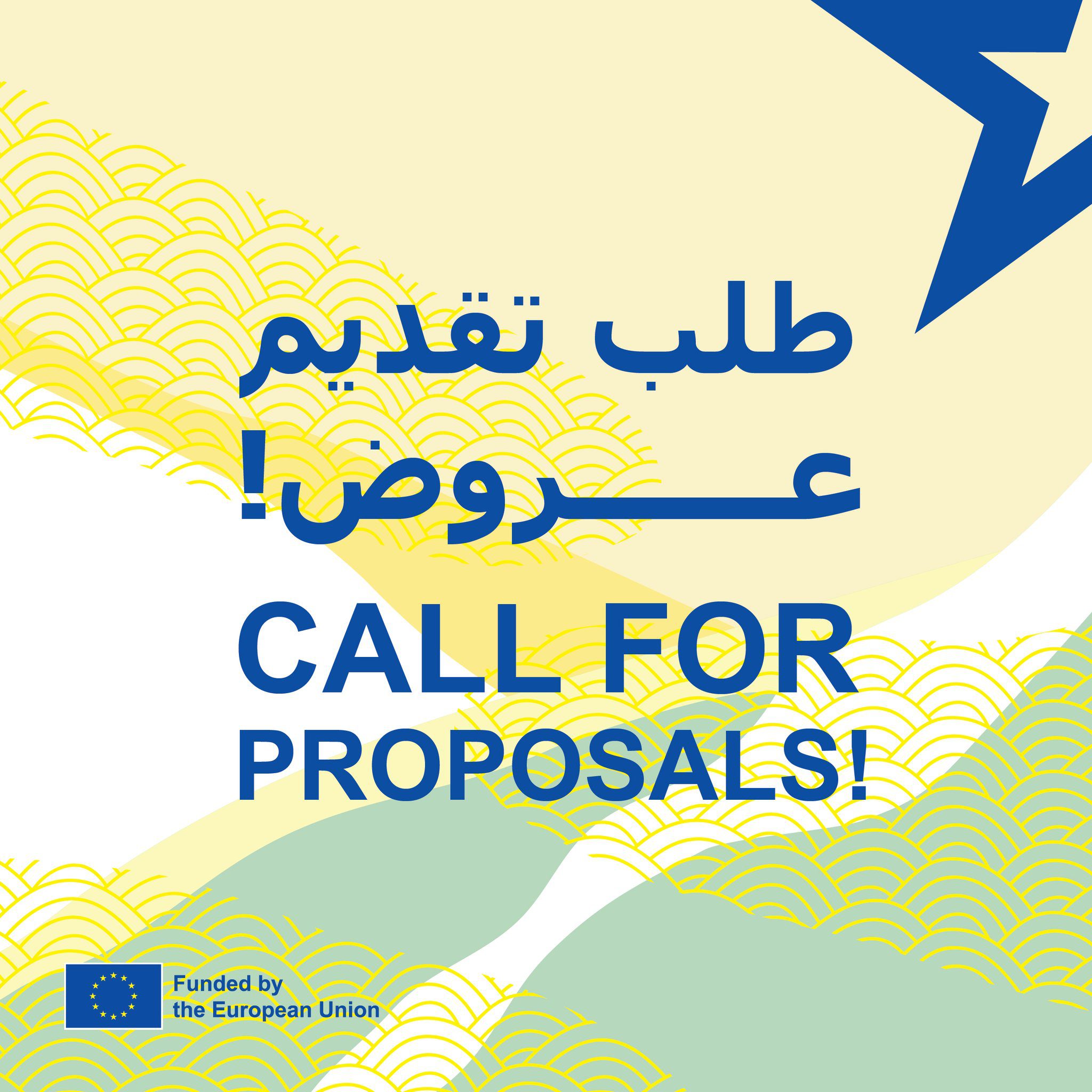 Call for proposal “Support to Human Rights, Democracy and Civil Society